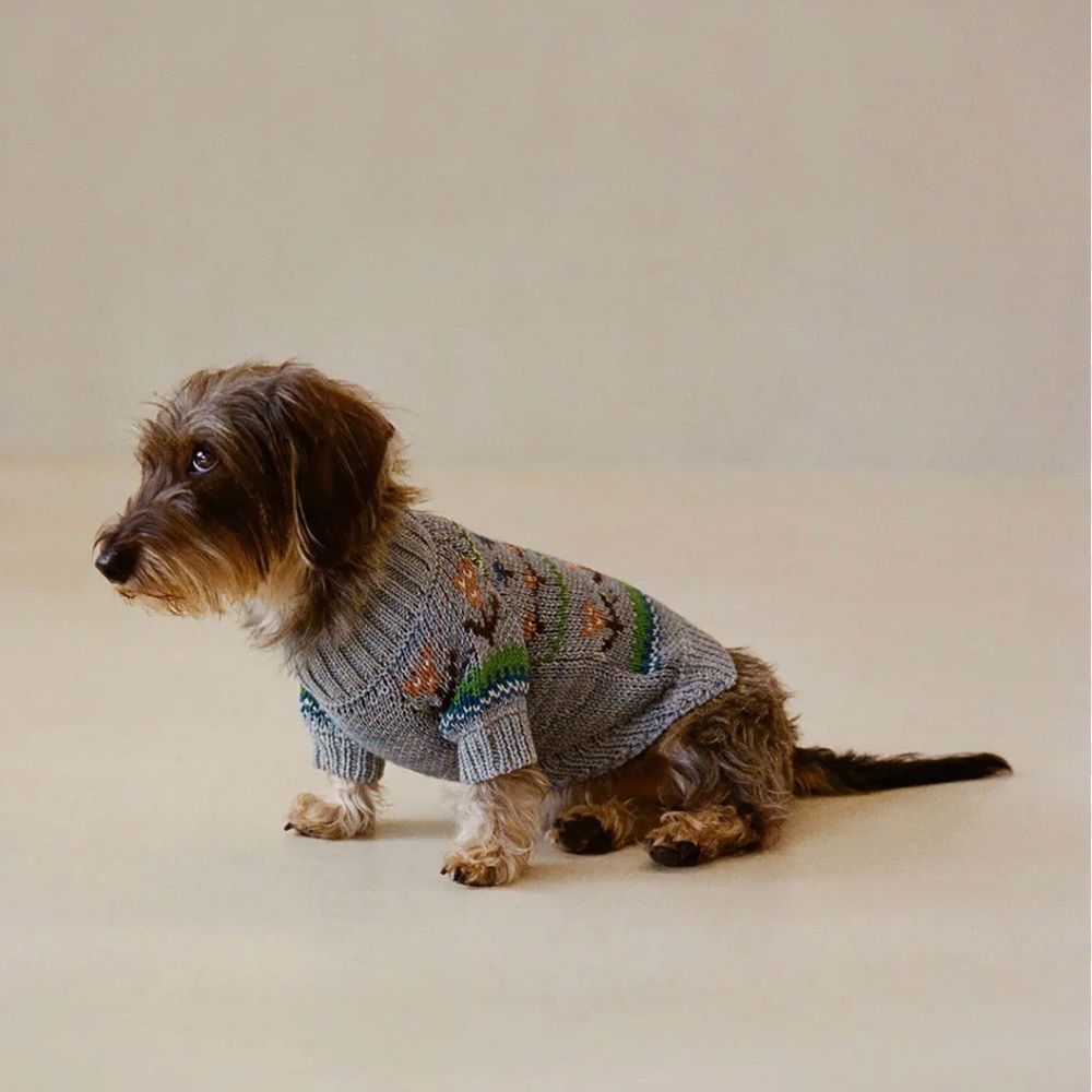Loeffler Randall Light Blue Knit Floral Dog Sweater with Green and Brown Accents